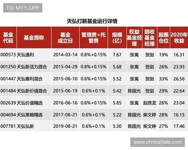专业玩家必备的AG视讯技巧提升游戏体验与获胜几率