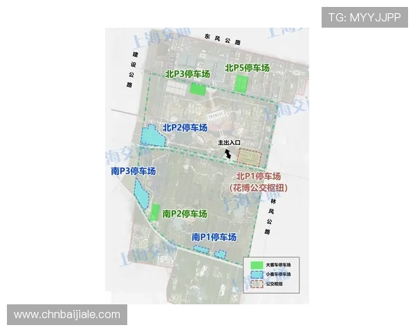 天博真人平台用户评价与口碑分析，真实玩家体验分享帮助新手选择优质平台