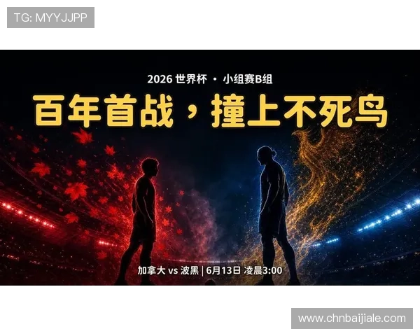 加拿大对波黑比赛城市的赛事票务购买渠道及现场观赛体验 加拿大对波黑比赛城市的赛事票务购买渠道及现场观赛体验